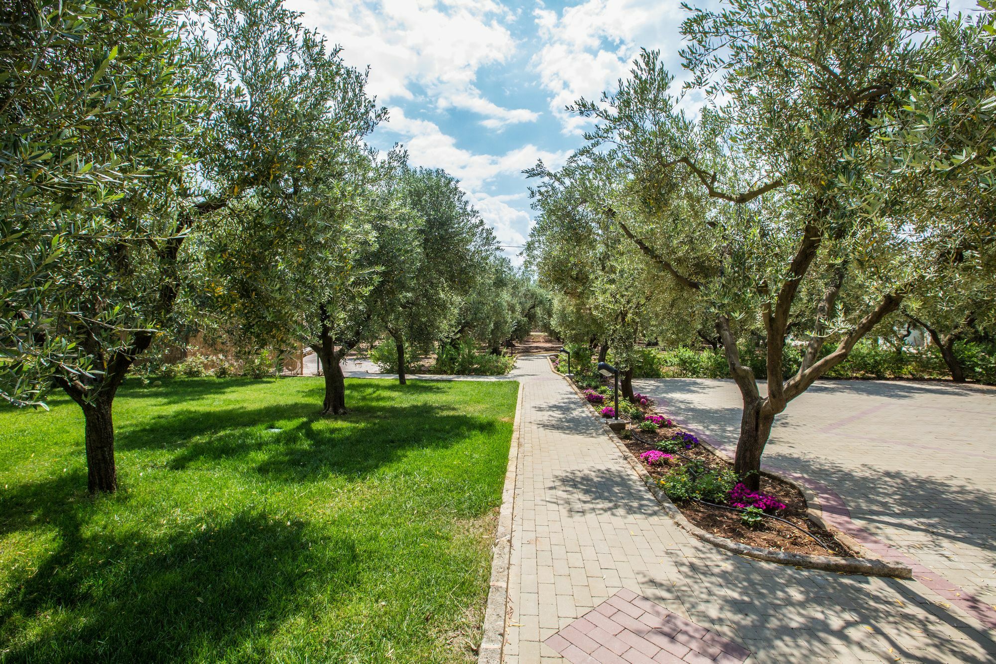 Dimora Tenuta Solentino Torre San Giovanni Ugento Exteriör bild